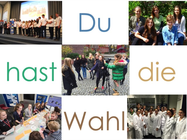 Profilwahl25